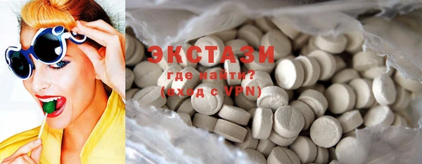 ECSTASY Богородицк